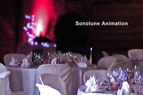 Animation mariage Lyon